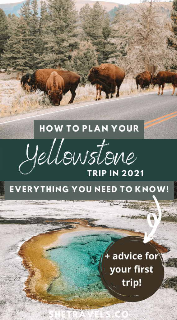 I'm sharing how to plan a trip to Yellowstone National Park step-by-step! Everything you need to think about before heading to Wyoming. | wyoming travel | what to do in wyoming | U